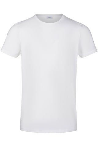 Shirt 1667321