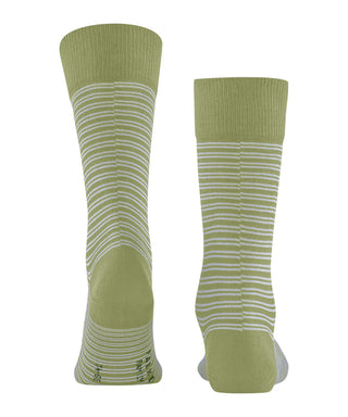 FALKE Family Special Edition Herren