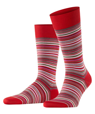 FALKE Microblock Herren