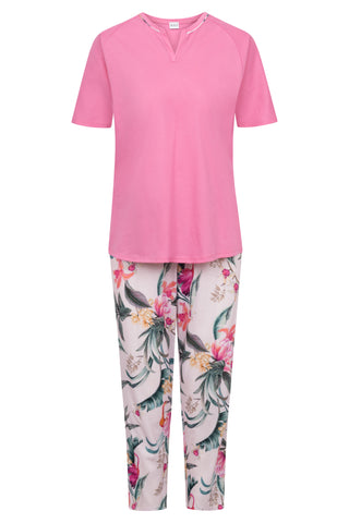 Pyjamas 1243102